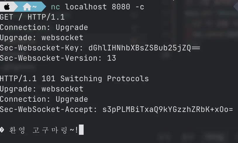 netcat 명령어를 활용한 응답 확인