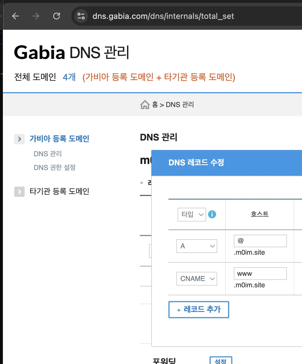 저는 가비아에서 구매해서 DNS 설정을 여기서 했습니다!